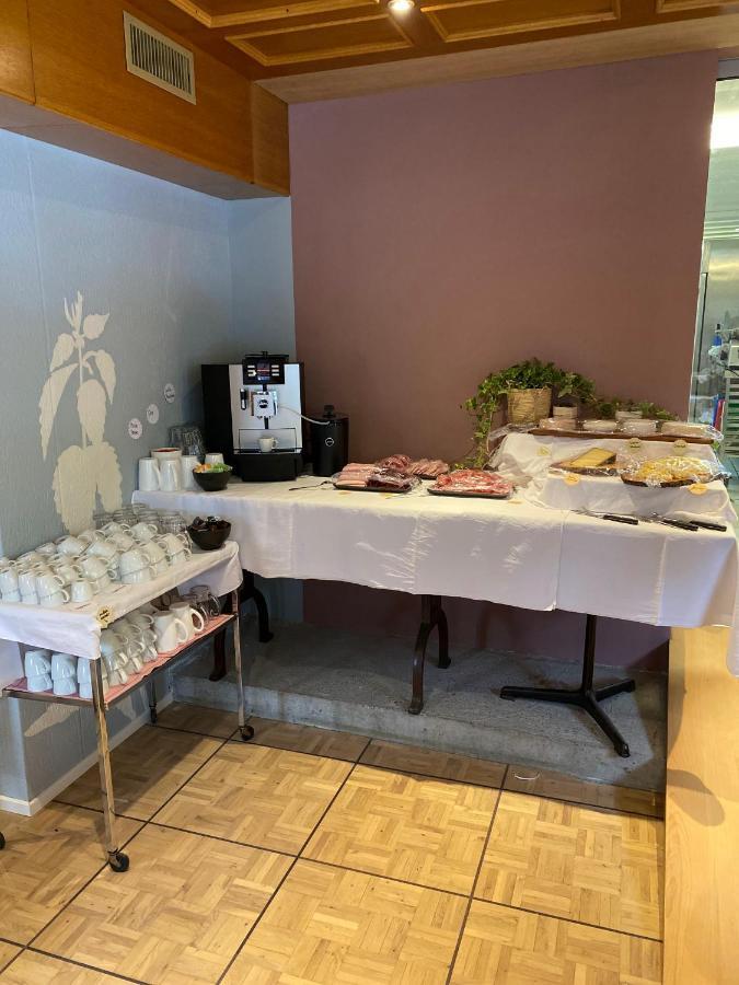 Hotel Alpina Einhorn - Self-Check-In Wolfenschiessen Extérieur photo